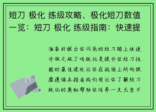 短刀 极化 练级攻略、极化短刀数值一览：短刀 极化 练级指南：快速提升你的战力