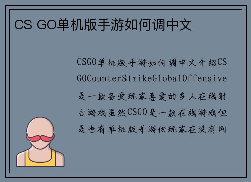 CS GO单机版手游如何调中文